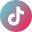 TikTok Icon