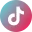 TikTok Icon